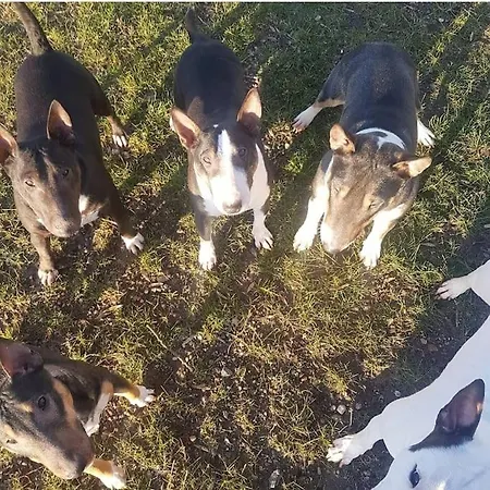 Oase Am Nationalpark Kargow