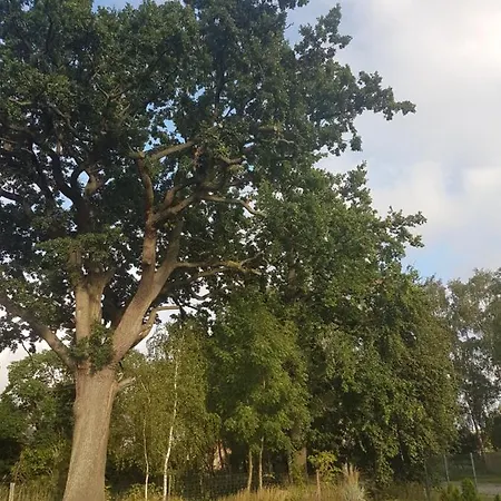 Oase Am Nationalpark Apartamento Kargow